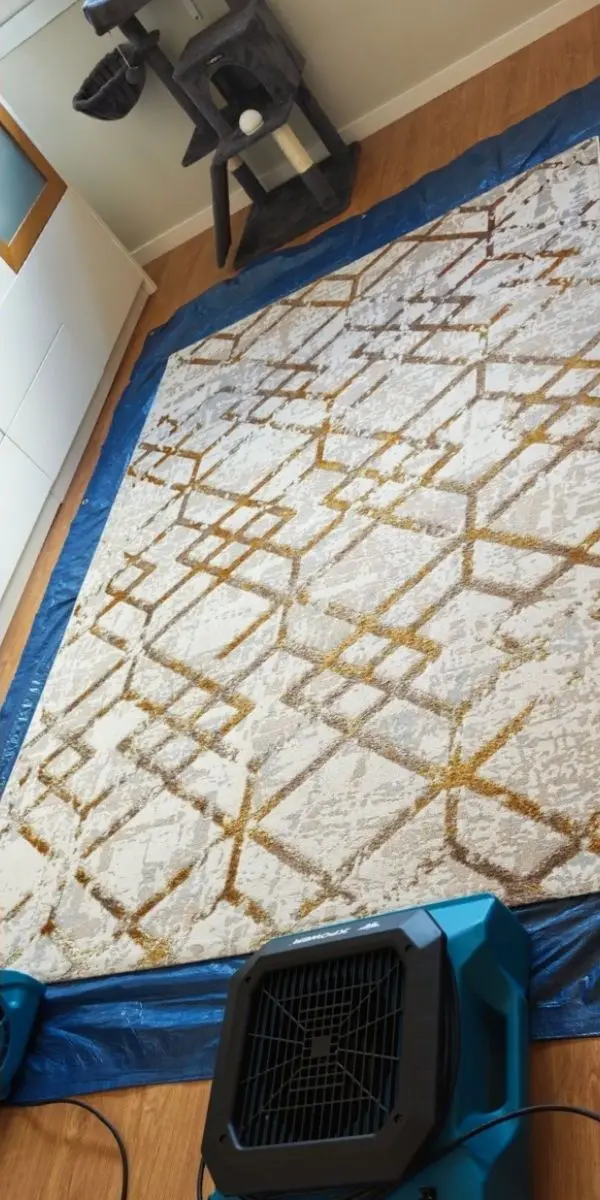 O mesmo tapete depois da limpeza, com o fundo branco